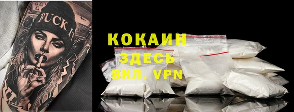 ешки Арсеньев
