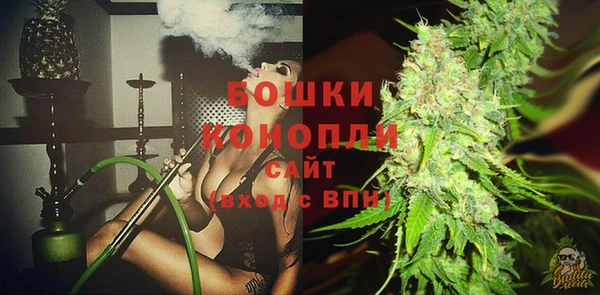 ешки Арсеньев