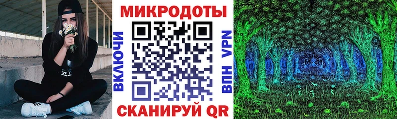 Псилоцибиновые грибы Cubensis  Суджа 