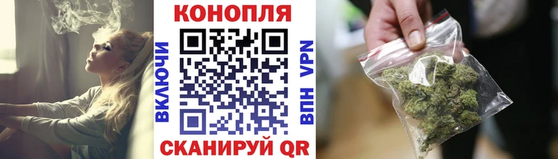 Конопля OG Kush Суджа